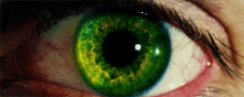 Yeşil Göz GIF - Yesil Goz GIFs