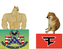 Free American Gaming GIF