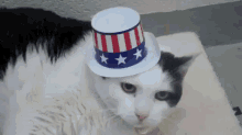 Not Everyone Is Into Celebrating GIF - Cats America 4th Of July GIFs