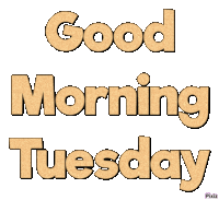 Good Morning Tuesday Sticker - Good Morning Tuesday Stickers