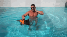 inoata chelutu pet dog cute swim