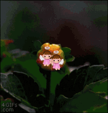 Dulce Feliz GIF - Dulce Feliz Flower GIFs