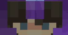 a pixel art of a person 's face with purple hair