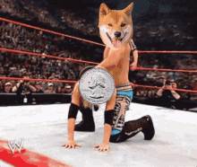 Wrestling Dogecoin GIF - Wrestling Dogecoin Doge GIFs