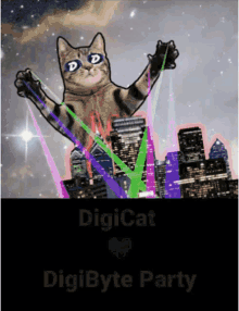 Blundered Dgb Cat Vibing Blunder Digibyte Dons Bergers Vibin Blunder GIF -  Blundered Dgb Cat Vibing Blunder Digibyte Dons Bergers Vibin Cat Vibin Dons  Bergers - Discover & Share GIFs