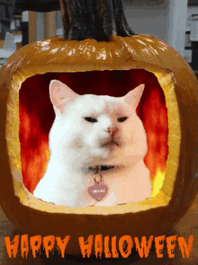 happy halloween smudge happy halloween smudge cat happy halloween
