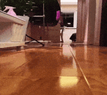 Silly Baby Cat Kitty GIF - Silly Baby Cat Silly Kitty GIFs