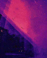 a purple and pink background with the word artists on the bottom left