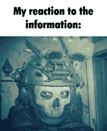 Ghost Mw22022 Meme GIF - Ghost Mw22022 Meme My Reaction To That Information GIFs