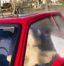 Barking The Pet Collective GIF - Barking The Pet Collective Angry GIFs