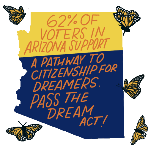 62percent Of Arizona Voters Support Pathway To Citizenship For Dreamers Sticker - 62percent Of Arizona Voters Support Pathway To Citizenship For Dreamers Pass The Dream Act Stickers