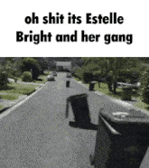 a picture of a trash can on the side of a road with the caption oh shit its estelle bright and her gang .