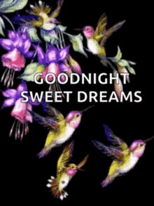 good night sweet dreams birds flowers