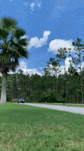 a black car is parked on the side of a road in front of a palm tree