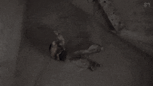 a woman wearing a fur coat is laying down