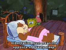 Spongebob Hibernation Must Mean The Opposite Of Beauty Sleep GIF - Spongebob Hibernation Must Mean The Opposite Of Beauty Sleep GIFs