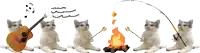 a group of cats sitting around a campfire with a guitar and a fishing rod