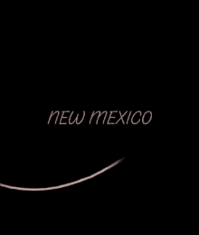 State New Mexico GIF