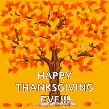 Fall Thanksgiving GIF - Fall Thanksgiving Thanksgiving Eve GIFs