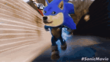 Sonic Movie GIF - Sonic Movie Doge GIFs
