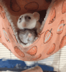 Rats Rodent GIF - Rats Rodent Cici GIFs