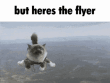 Flyer The GIF - Flyer The Heres GIFs