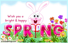 Happy Spring Spring GIF - Happy Spring Spring Bunny GIFs