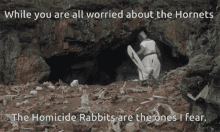 rabbits monty