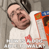 How Is A Dog Able To Walk Ricky Berwick GIF - How Is A Dog Able To Walk Ricky Berwick How Can A Dog Move GIFs
