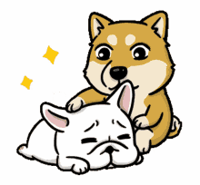 %E0%B9%82%E0%B8%AD%E0%B9%8B%E0%B9%86 cute dog puppy tap %E0%B9%82%E0%B8%AD%E0%B9%8B%E0%B9%86 cute dog puppy tap