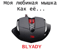 Mouse Blyady GIF