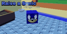 sonic raise