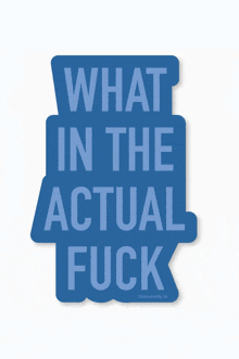 a blue sticker that says " what in the actual fuck "