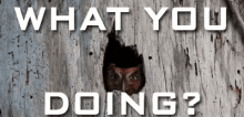 What You Doing GIF - What You Doing GIFs