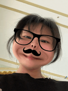 a girl wearing glasses and a fake mustache has the name binh nhi on the bottom right