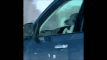 Dog Car GIF - Dog Car Driving GIFs