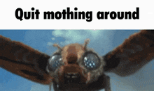 Quit Mothing Around Mothra GIF - Quit Mothing Around Mothra Mothra Vs Godzilla GIFs
