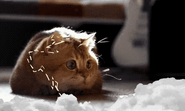 Cat Lightning GIF - Cat Lightning Cats - Discover & Share GIFs