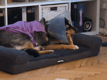a dog with a cone on its head is laying on a dog bed that says aktoys on it