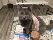 a cat sitting on a counter with a handoff coupon