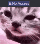 Jjk Discord Mod GIF - Jjk Discord Mod No Access GIFs