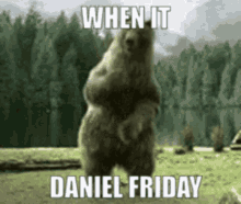 Daniel Daniel Friday GIF - Daniel Daniel Friday Daniel Friday Bear GIFs