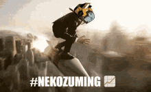 Nekozuma Nekogifs GIF
