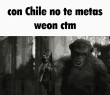 No Te Metas Con Chile Wn GIF - No Te Metas Con Chile Wn Ctm GIFs