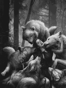 Wolfie GIF - Wolfie GIFs