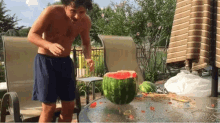 Watermelon Scared GIF