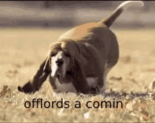 Offlord GIF - Offlord GIFs