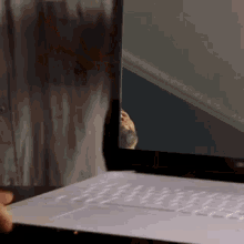 Dumb GIF