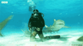 a scuba diver is surrounded by sharks with bbc written on the bottom
