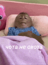 a monkey is laying on a bed with a purple blanket and a pink teddy bear